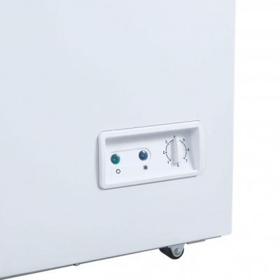 Danby Two Door 17.1 Cu. Ft. Chest Freezer - DCFM171A1WDB